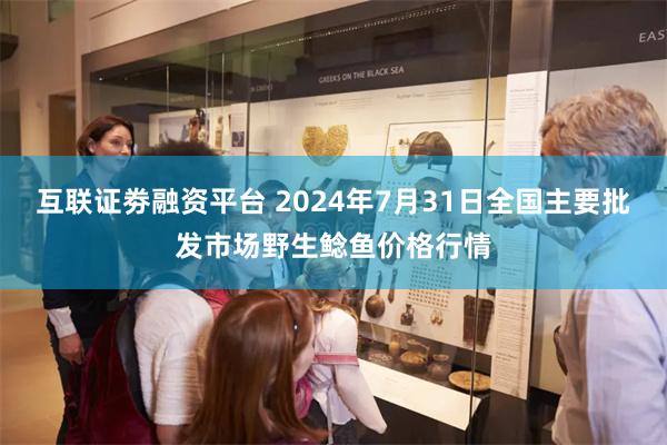 互联证劵融资平台 2024年7月31日全国主要批发市场野生鲶鱼价格行情