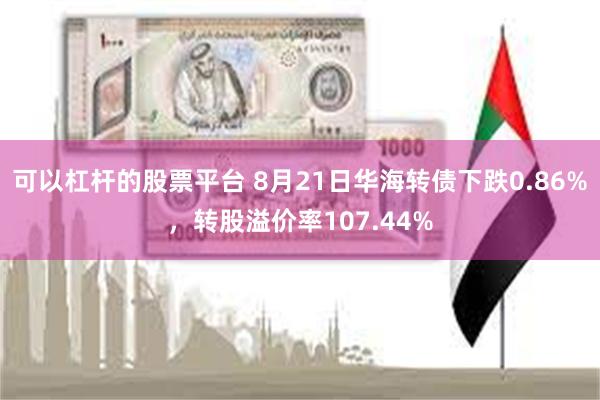 可以杠杆的股票平台 8月21日华海转债下跌0.86%，转股溢价率107.44%